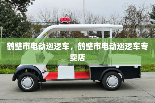 鹤壁市电动巡逻车，鹤壁市电动巡逻车专卖店