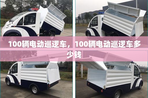 100辆电动巡逻车，100辆电动巡逻车多少钱