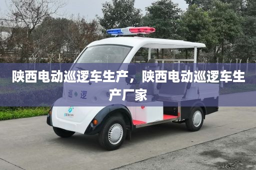 陕西电动巡逻车生产，陕西电动巡逻车生产厂家