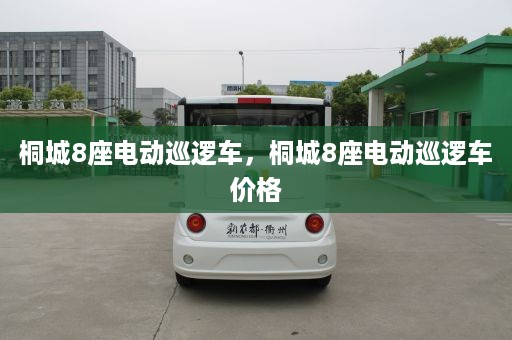 桐城8座电动巡逻车，桐城8座电动巡逻车价格