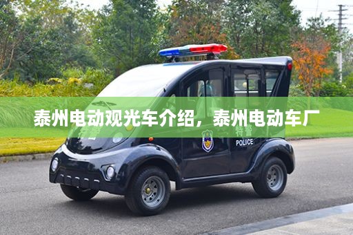 泰州电动观光车介绍，泰州电动车厂