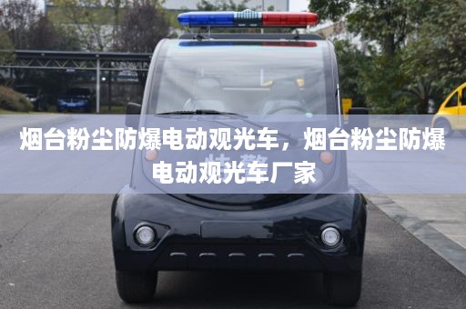 烟台粉尘防爆电动观光车，烟台粉尘防爆电动观光车厂家