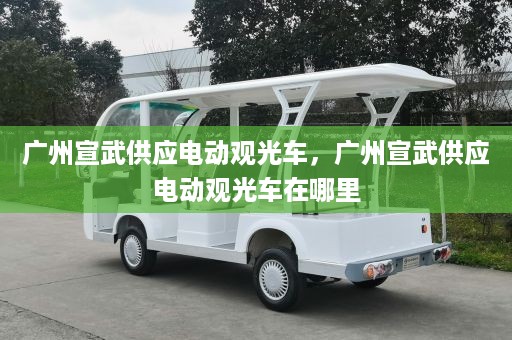 广州宣武供应电动观光车，广州宣武供应电动观光车在哪里