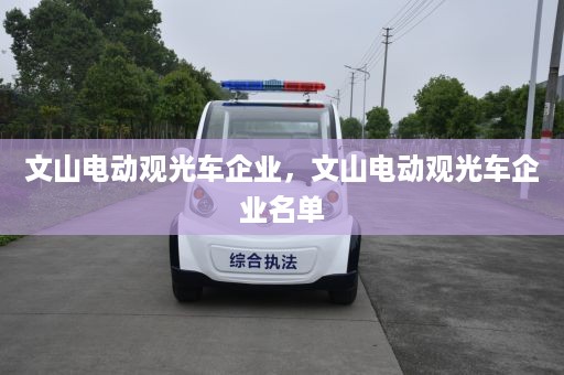 文山电动观光车企业，文山电动观光车企业名单