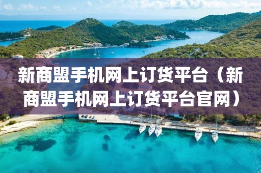 新商盟手机网上订货平台（新商盟手机网上订货平台官网）