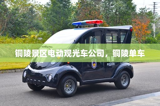 铜陵景区电动观光车公司，铜陵单车