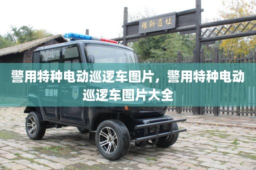 警用特种电动巡逻车图片，警用特种电动巡逻车图片大全