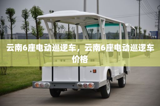 云南6座电动巡逻车，云南6座电动巡逻车价格