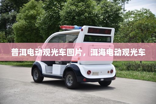 普洱电动观光车图片，洱海电动观光车