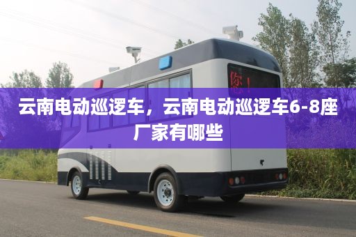 云南电动巡逻车，云南电动巡逻车6-8座厂家有哪些