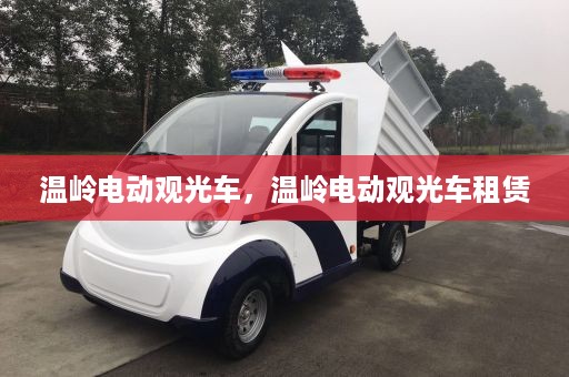 温岭电动观光车，温岭电动观光车租赁