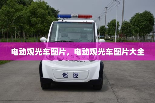 电动观光车图片，电动观光车图片大全