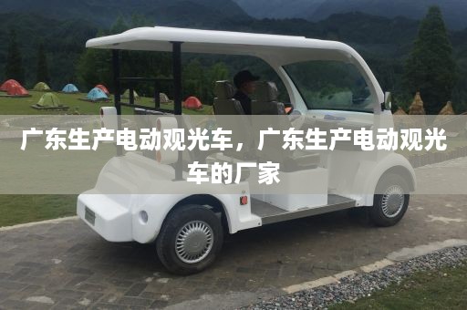 广东生产电动观光车，广东生产电动观光车的厂家