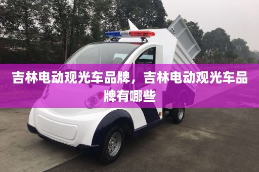 吉林电动观光车品牌，吉林电动观光车品牌有哪些