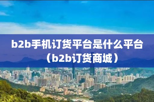 b2b手机订货平台是什么平台（b2b订货商城）