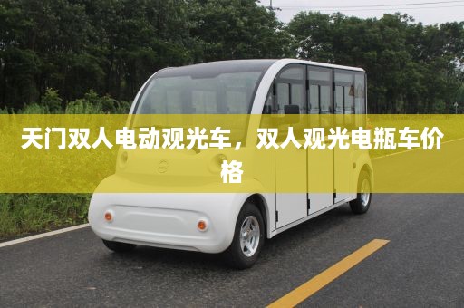 天门双人电动观光车，双人观光电瓶车价格