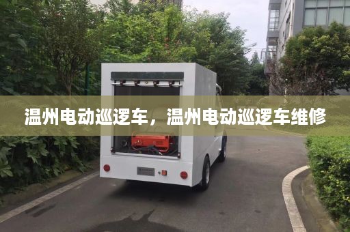 温州电动巡逻车，温州电动巡逻车维修