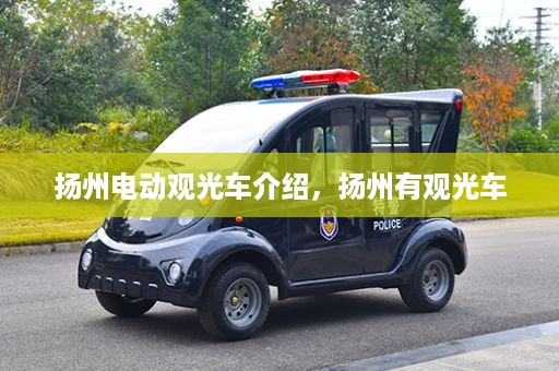 扬州电动观光车介绍，扬州有观光车