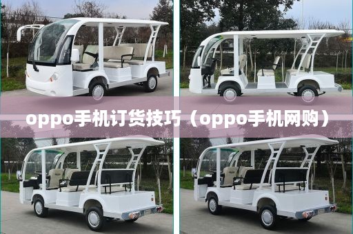 oppo手机订货技巧（oppo手机网购）