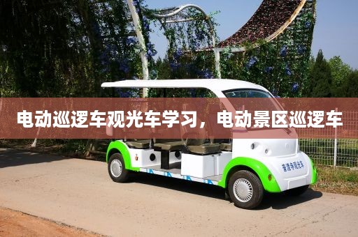 电动巡逻车观光车学习，电动景区巡逻车