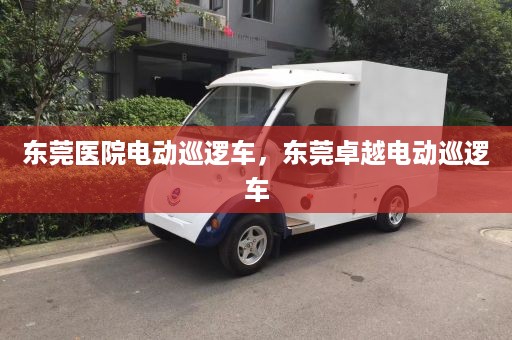 东莞医院电动巡逻车，东莞卓越电动巡逻车