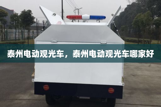 泰州电动观光车，泰州电动观光车哪家好