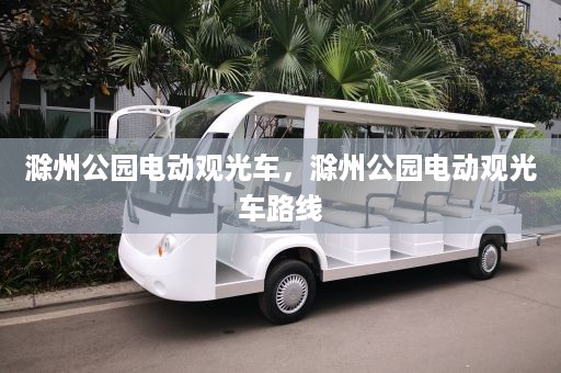 滁州公园电动观光车，滁州公园电动观光车路线