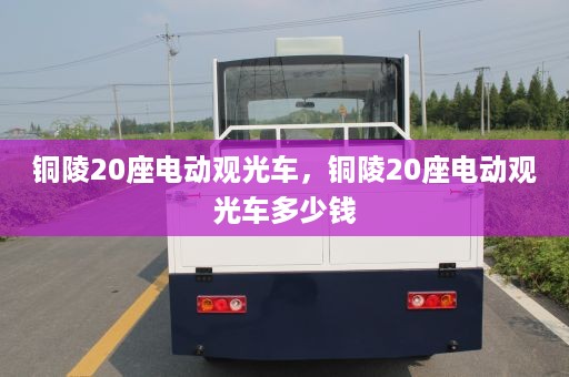 铜陵20座电动观光车，铜陵20座电动观光车多少钱