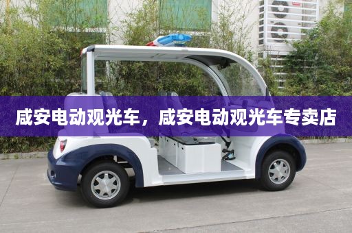 咸安电动观光车，咸安电动观光车专卖店