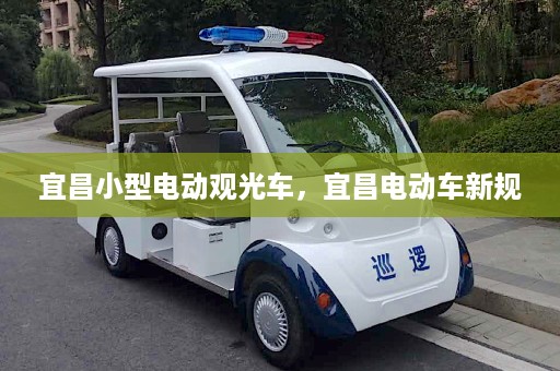 宜昌小型电动观光车，宜昌电动车新规