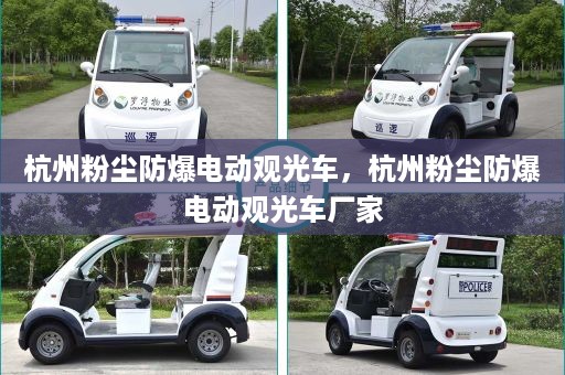 杭州粉尘防爆电动观光车，杭州粉尘防爆电动观光车厂家