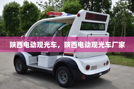 陕西电动观光车，陕西电动观光车厂家