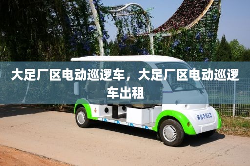 大足厂区电动巡逻车，大足厂区电动巡逻车出租