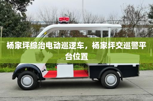 杨家坪综治电动巡逻车，杨家坪交巡警平台位置