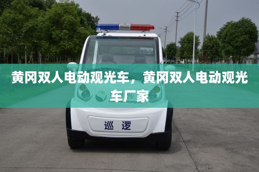 黄冈双人电动观光车，黄冈双人电动观光车厂家