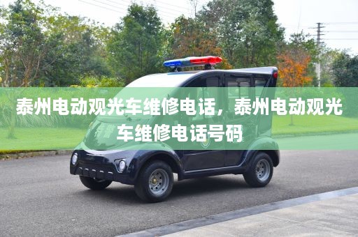 泰州电动观光车维修电话，泰州电动观光车维修电话号码