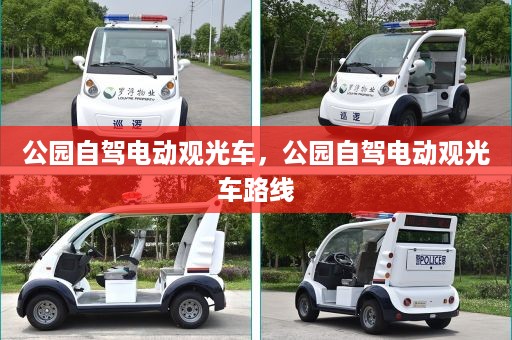 公园自驾电动观光车，公园自驾电动观光车路线