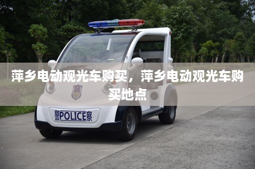 萍乡电动观光车购买，萍乡电动观光车购买地点