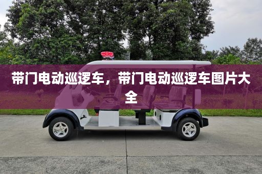 带门电动巡逻车，带门电动巡逻车图片大全