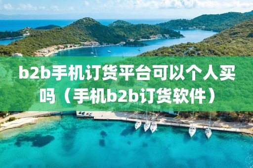 b2b手机订货平台可以个人买吗（手机b2b订货软件）