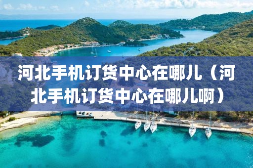 河北手机订货中心在哪儿（河北手机订货中心在哪儿啊）