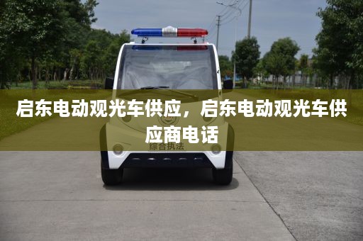 启东电动观光车供应，启东电动观光车供应商电话