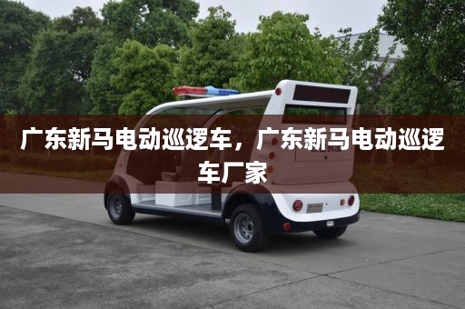 广东新马电动巡逻车，广东新马电动巡逻车厂家