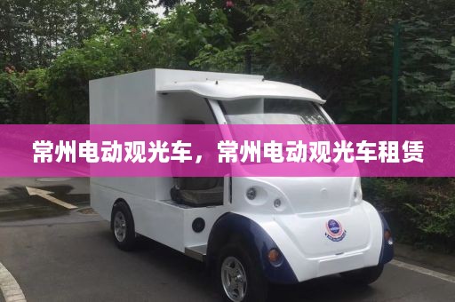 常州电动观光车，常州电动观光车租赁