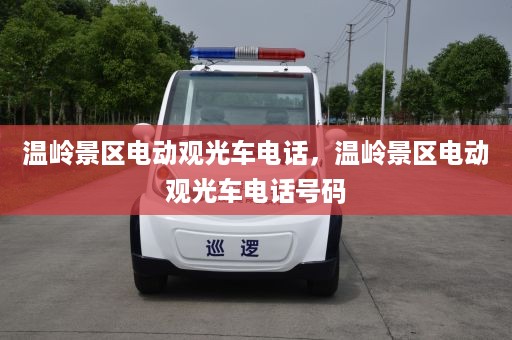 温岭景区电动观光车电话，温岭景区电动观光车电话号码