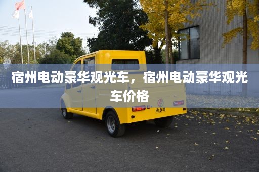 宿州电动豪华观光车，宿州电动豪华观光车价格