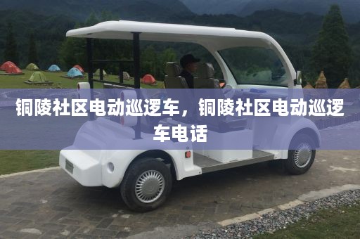 铜陵社区电动巡逻车，铜陵社区电动巡逻车电话