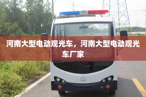 河南大型电动观光车，河南大型电动观光车厂家