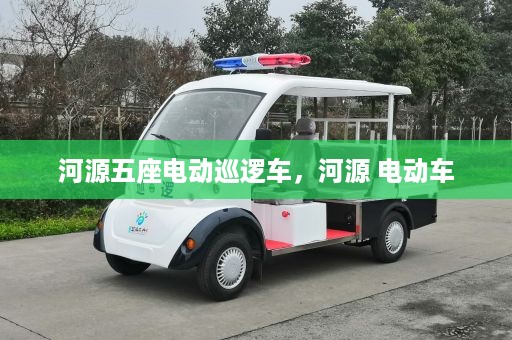 河源五座电动巡逻车，河源 电动车