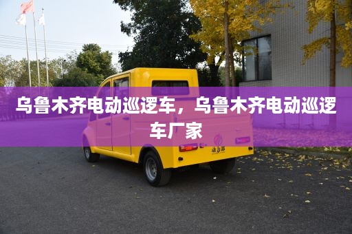 乌鲁木齐电动巡逻车，乌鲁木齐电动巡逻车厂家